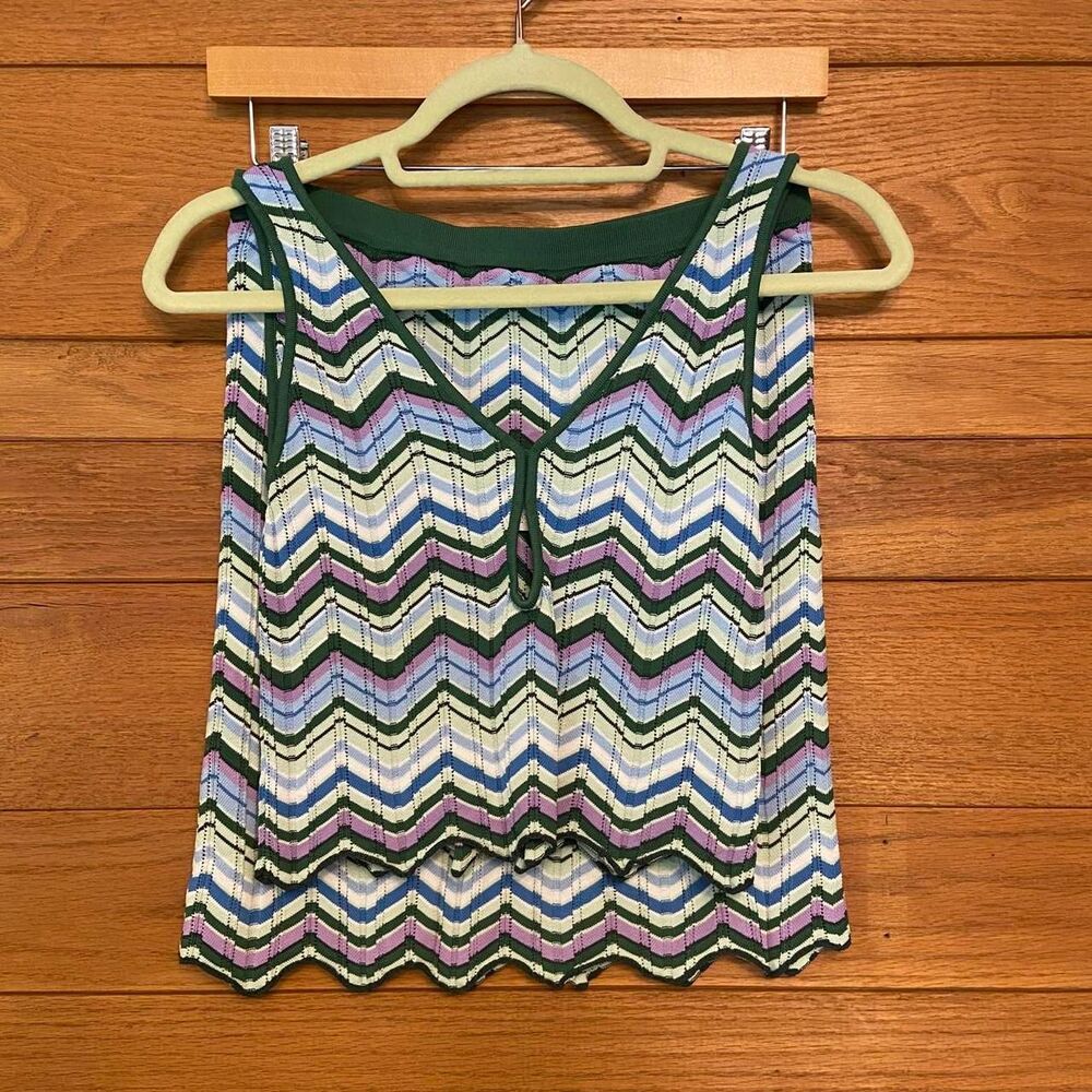 Torn by Ronny Kobo chevron knit tank top and skirt set